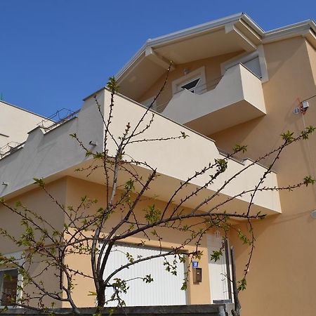 Apartments Danijela Ζαντάρ Εξωτερικό φωτογραφία