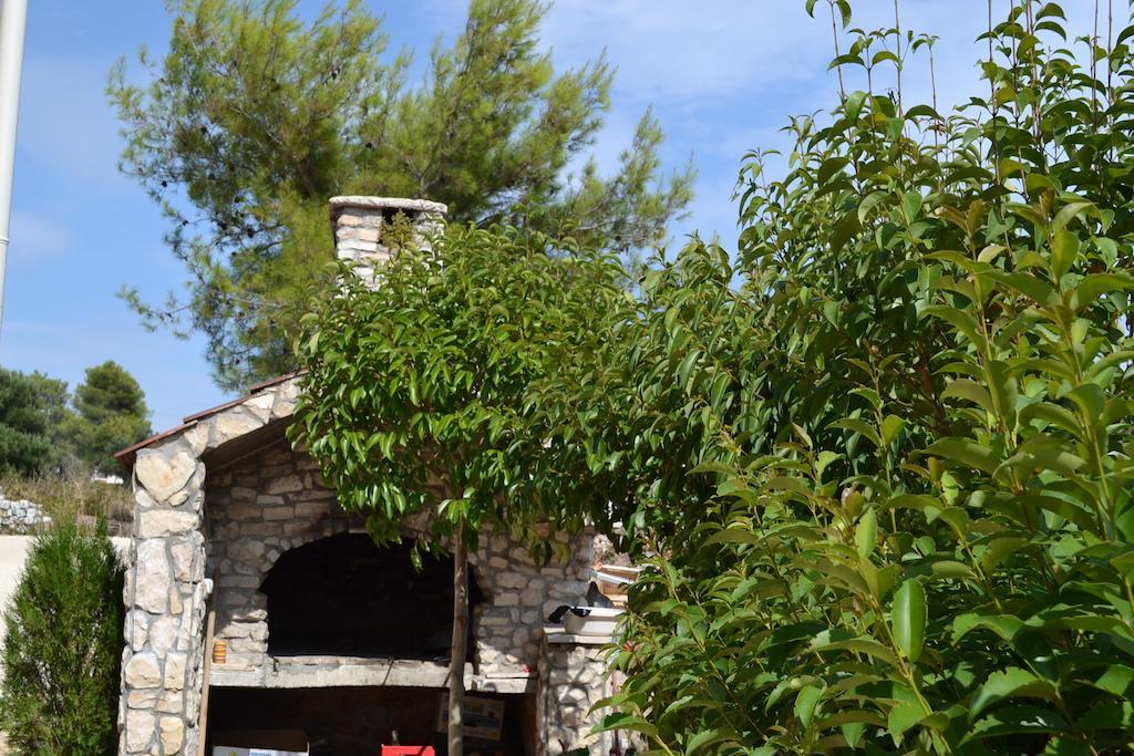 Apartments Danijela Ζαντάρ Εξωτερικό φωτογραφία