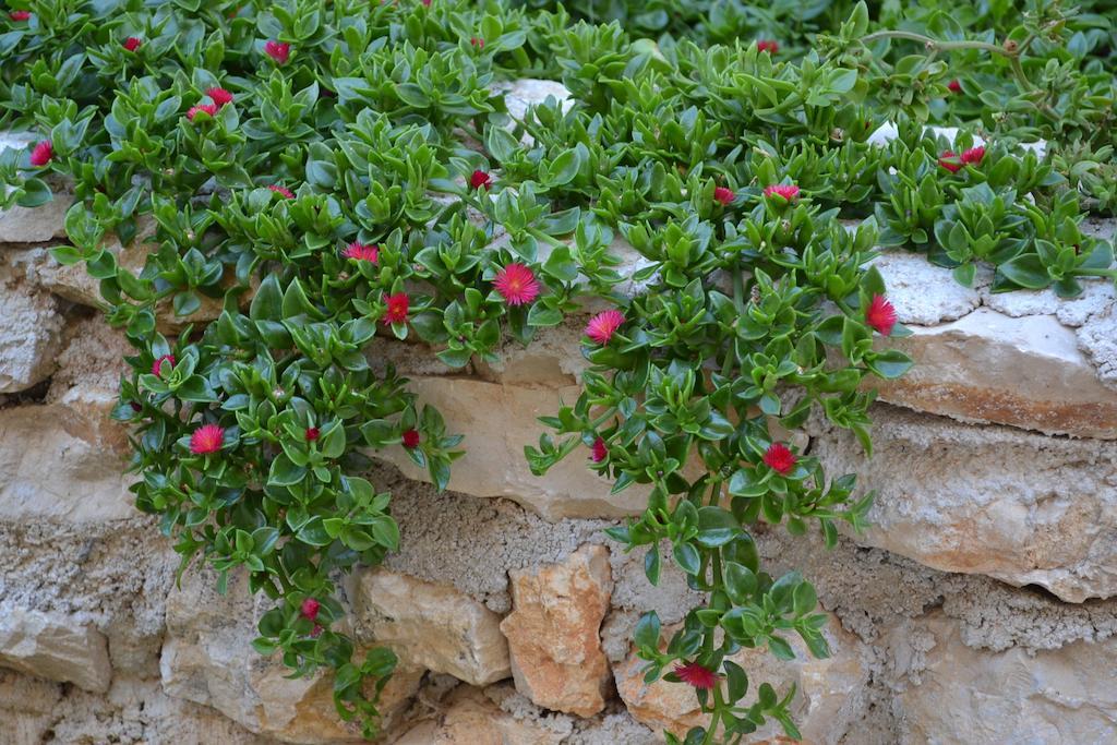 Apartments Danijela Ζαντάρ Εξωτερικό φωτογραφία